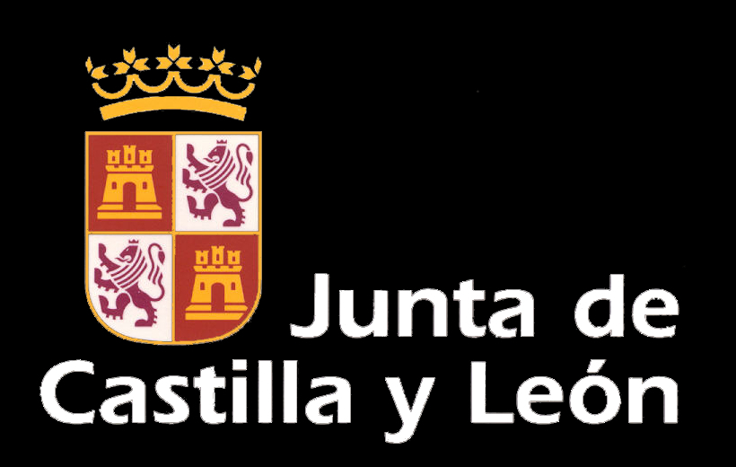 Junta de Castilla y León